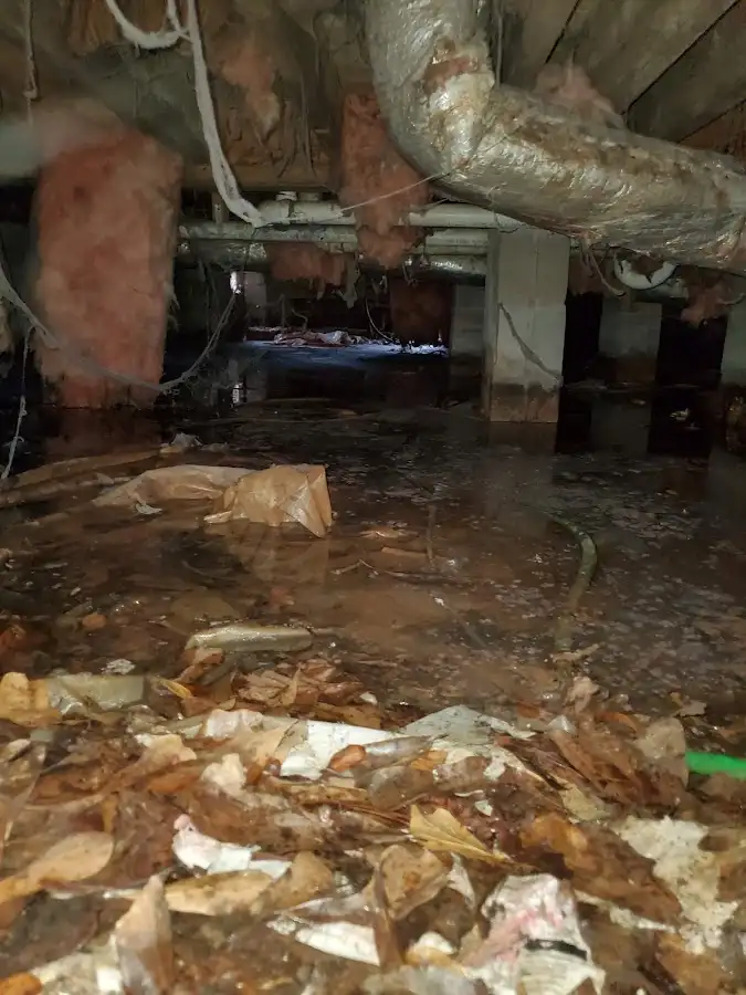 Crawl space flood assessment for Leak Detection & Repair in Deming